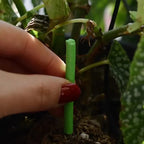 Transform Your Indoor Garden with Nutrient-Packed Slow-Release Fertilizer Sticks – The Ultimate Plant Care Solution
