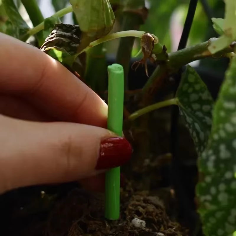 Transform Your Indoor Garden with Nutrient-Packed Slow-Release Fertilizer Sticks – The Ultimate Plant Care Solution