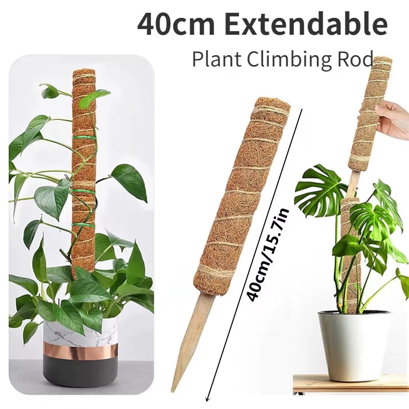 Durable Reusable Plant Cages - Easy-to-Use Climbing Support for Flowers and Garden Plants