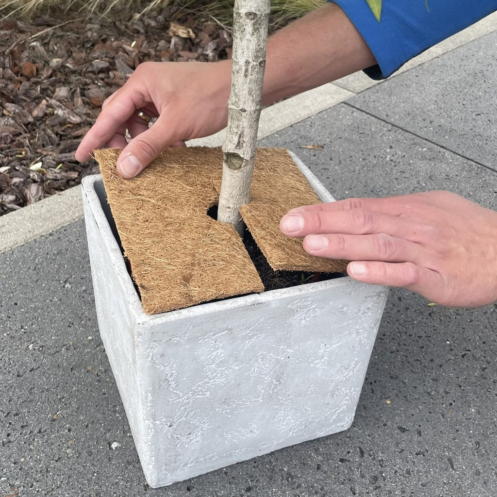 Wacredo Square Coconut Frost Protection Mat for Plants - Available in 25, 30, 38, 45, and 60 cm Sizes