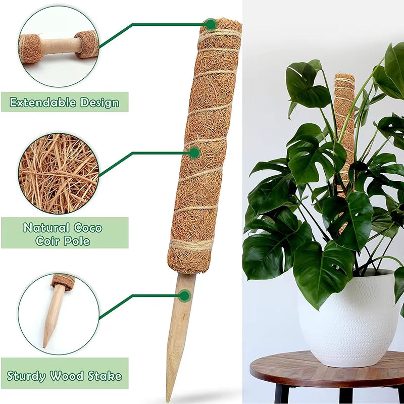 Durable Reusable Plant Cages - Easy-to-Use Climbing Support for Flowers and Garden Plants