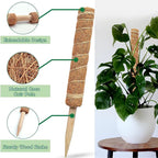 Durable Reusable Plant Cages - Easy-to-Use Climbing Support for Flowers and Garden Plants
