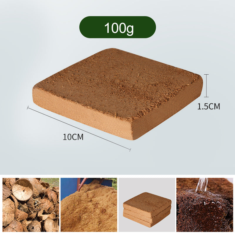 Plant Coconut Brick