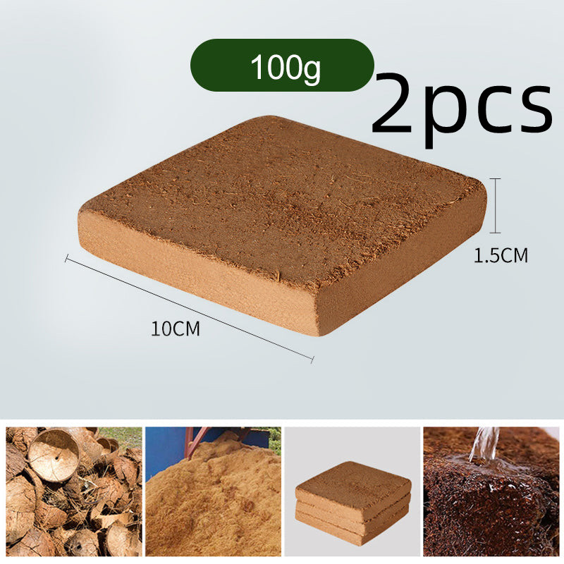 Plant Coconut Brick