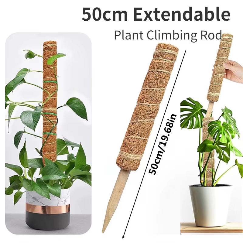 Durable Reusable Plant Cages - Easy-to-Use Climbing Support for Flowers and Garden Plants