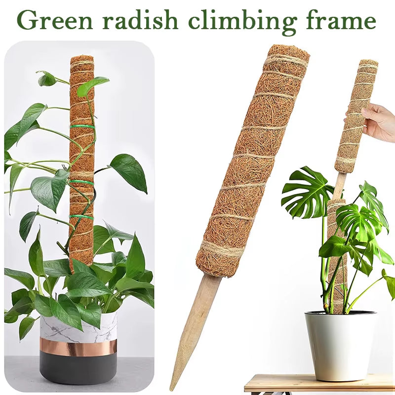 Durable Reusable Plant Cages - Easy-to-Use Climbing Support for Flowers and Garden Plants