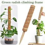 Durable Reusable Plant Cages - Easy-to-Use Climbing Support for Flowers and Garden Plants