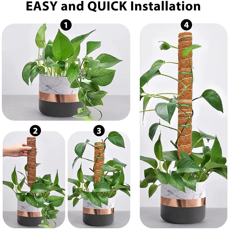 Durable Reusable Plant Cages - Easy-to-Use Climbing Support for Flowers and Garden Plants