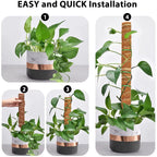 Durable Reusable Plant Cages - Easy-to-Use Climbing Support for Flowers and Garden Plants