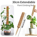 Durable Reusable Plant Cages - Easy-to-Use Climbing Support for Flowers and Garden Plants