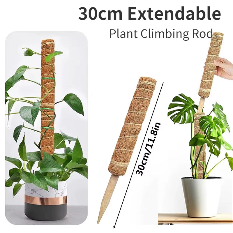 Durable Reusable Plant Cages - Easy-to-Use Climbing Support for Flowers and Garden Plants